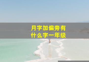 月字加偏旁有什么字一年级