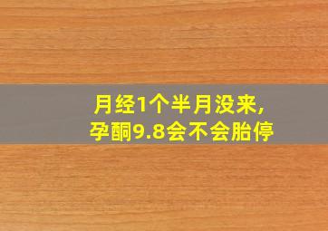 月经1个半月没来,孕酮9.8会不会胎停