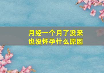 月经一个月了没来也没怀孕什么原因