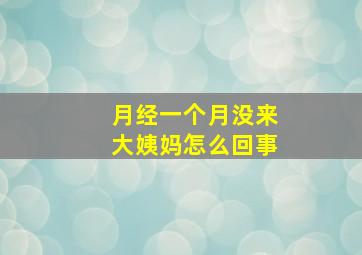 月经一个月没来大姨妈怎么回事