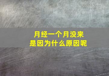 月经一个月没来是因为什么原因呢