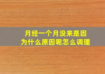 月经一个月没来是因为什么原因呢怎么调理