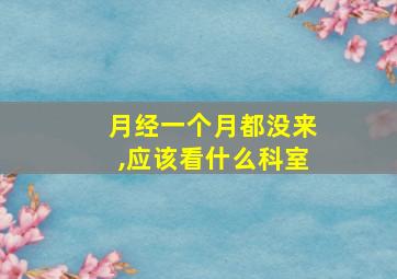 月经一个月都没来,应该看什么科室