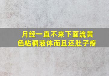 月经一直不来下面流黄色粘稠液体而且还肚子疼