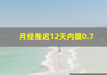 月经推迟12天内膜0.7