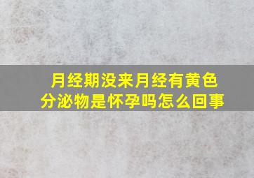 月经期没来月经有黄色分泌物是怀孕吗怎么回事