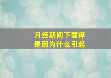 月经期间下面痒是因为什么引起