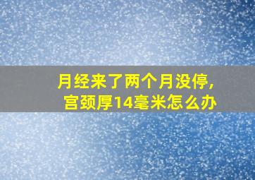 月经来了两个月没停,宫颈厚14毫米怎么办