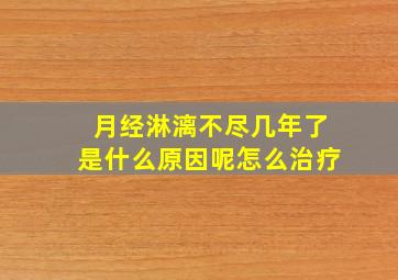 月经淋漓不尽几年了是什么原因呢怎么治疗