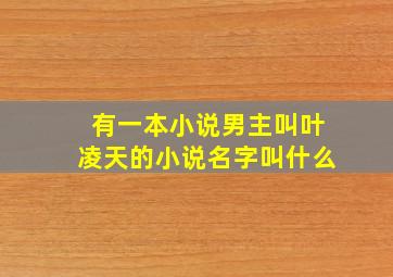 有一本小说男主叫叶凌天的小说名字叫什么