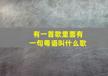 有一首歌里面有一句粤语叫什么歌