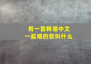 有一首韩语中文一起唱的歌叫什么