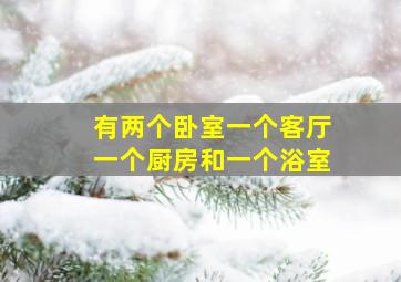 有两个卧室一个客厅一个厨房和一个浴室