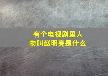 有个电视剧里人物叫赵明亮是什么