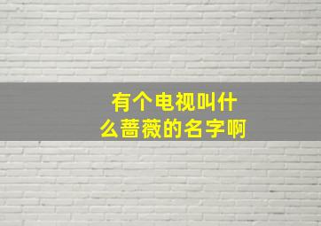 有个电视叫什么蔷薇的名字啊