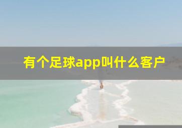 有个足球app叫什么客户