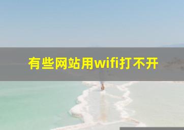 有些网站用wifi打不开