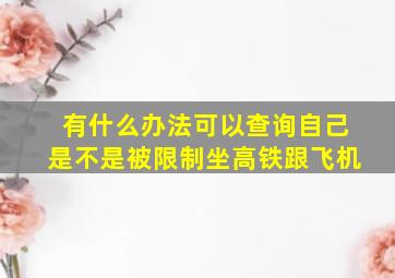 有什么办法可以查询自己是不是被限制坐高铁跟飞机