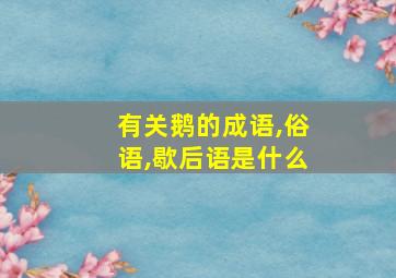 有关鹅的成语,俗语,歇后语是什么