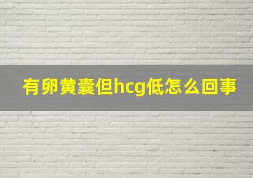 有卵黄囊但hcg低怎么回事