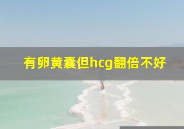 有卵黄囊但hcg翻倍不好