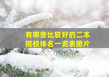 有哪些比较好的二本院校排名一览表图片