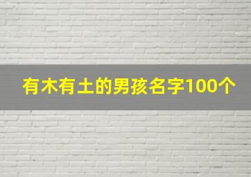 有木有土的男孩名字100个