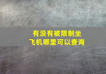 有没有被限制坐飞机哪里可以查询