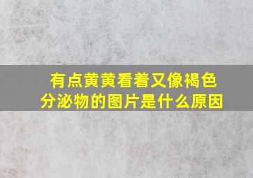 有点黄黄看着又像褐色分泌物的图片是什么原因