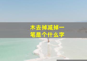 木去掉减掉一笔是个什么字