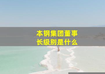 本钢集团董事长级别是什么