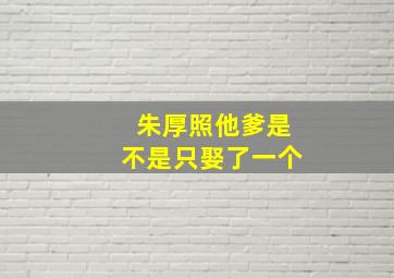 朱厚照他爹是不是只娶了一个