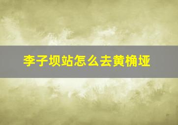 李子坝站怎么去黄桷垭