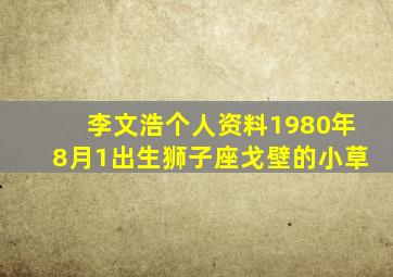 李文浩个人资料1980年8月1出生狮子座戈壁的小草