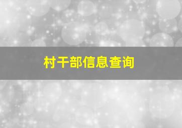 村干部信息查询