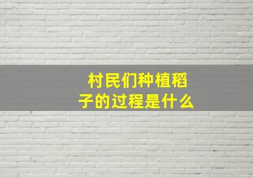 村民们种植稻子的过程是什么