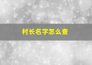 村长名字怎么查