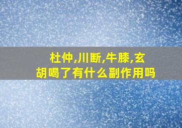 杜仲,川断,牛膝,玄胡喝了有什么副作用吗