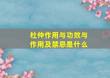 杜仲作用与功效与作用及禁忌是什么