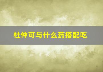 杜仲可与什么药搭配吃