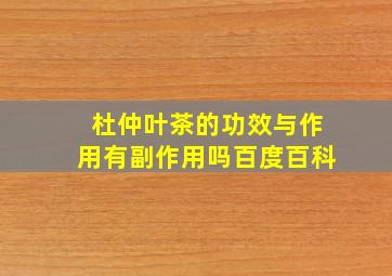 杜仲叶茶的功效与作用有副作用吗百度百科