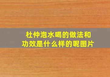 杜仲泡水喝的做法和功效是什么样的呢图片