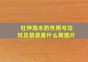 杜仲泡水的作用与功效及禁忌是什么呢图片