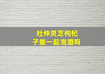 杜仲灵芝枸杞子能一起泡酒吗