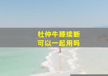 杜仲牛膝续断可以一起用吗