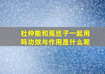 杜仲能和菟丝子一起用吗功效与作用是什么呢