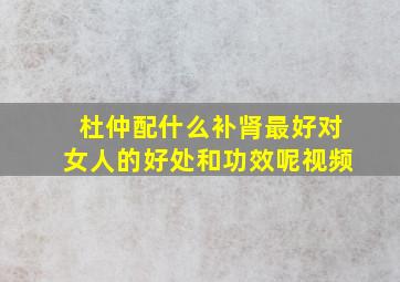 杜仲配什么补肾最好对女人的好处和功效呢视频