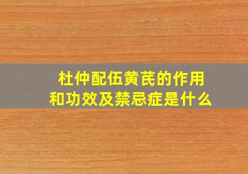 杜仲配伍黄芪的作用和功效及禁忌症是什么