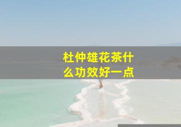 杜仲雄花茶什么功效好一点