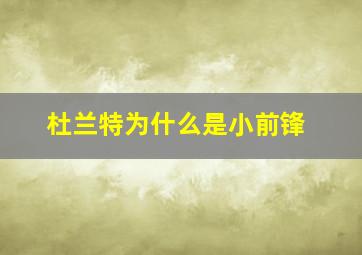 杜兰特为什么是小前锋